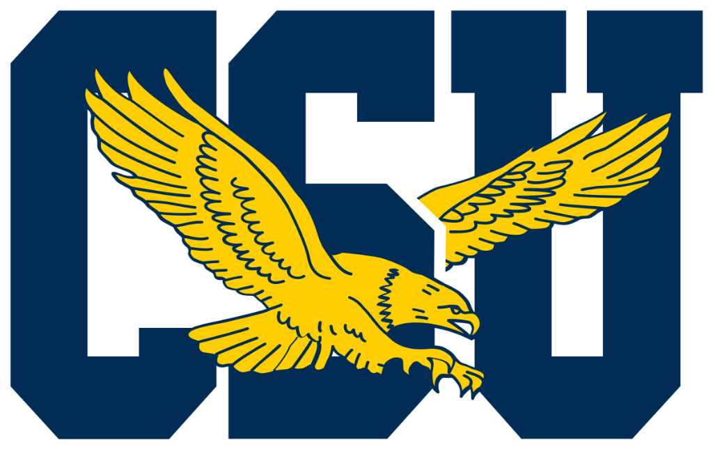Eagle logo team